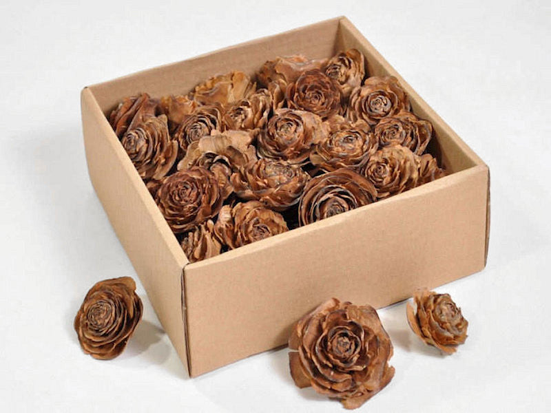 Cedar roses 50st.