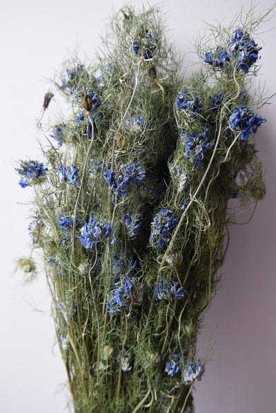 Gedroogde nigella bloem – blauw