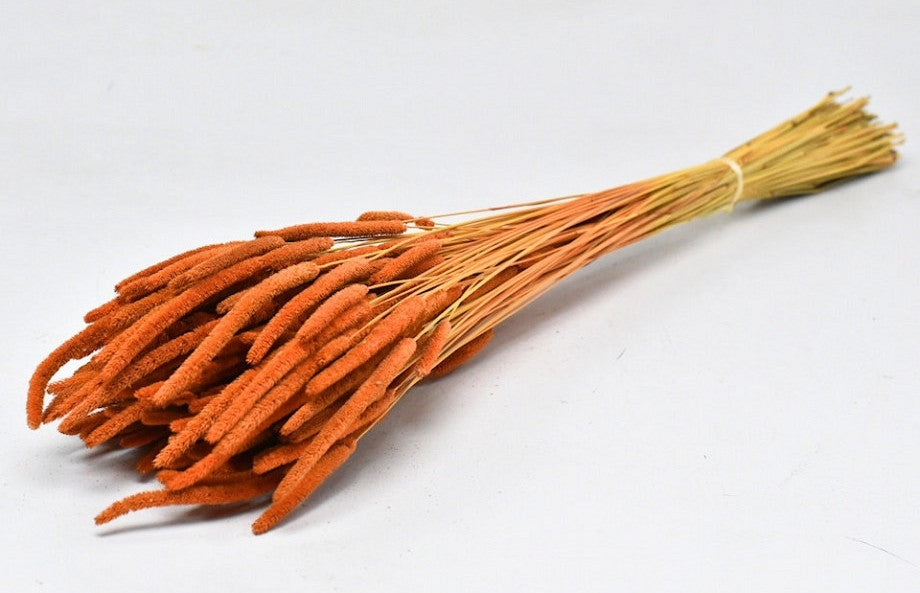Dried Phleum Probatus Oranje 150 grams