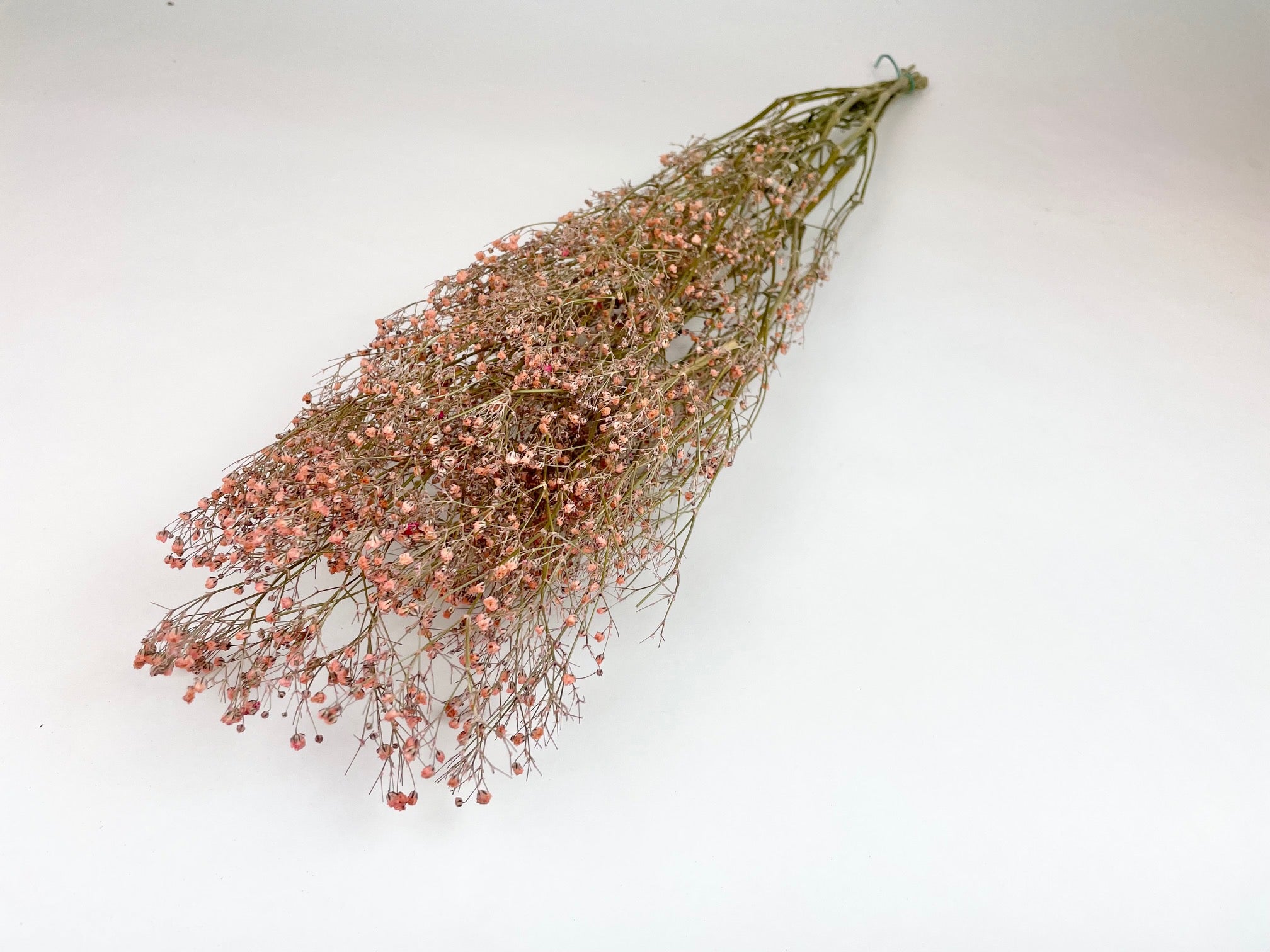 Gips Care (Gypsophilie) rosa getrocknet