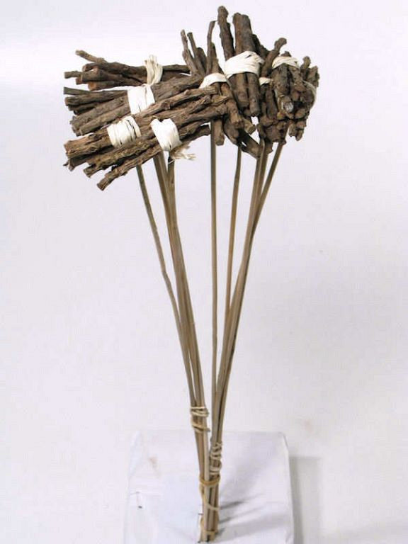 Bijsteker -Bundle -Bundle bei 50 cm Stahl