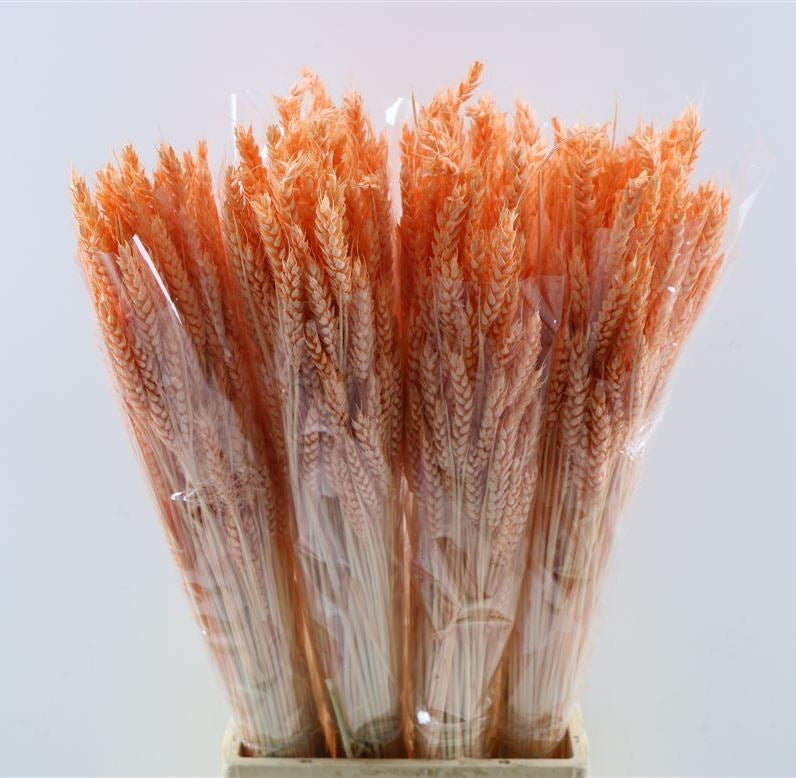 Dried wheat salmon 200 grams