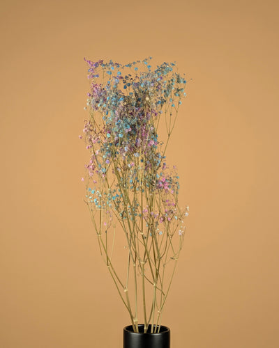 GIPSPRAID Disco Mix Purple & Blue dried