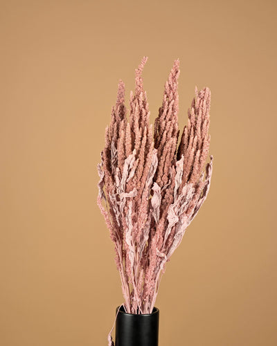 Gedroogde amaranthus – misty roze