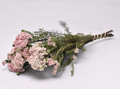 Rice flower dried natural pink