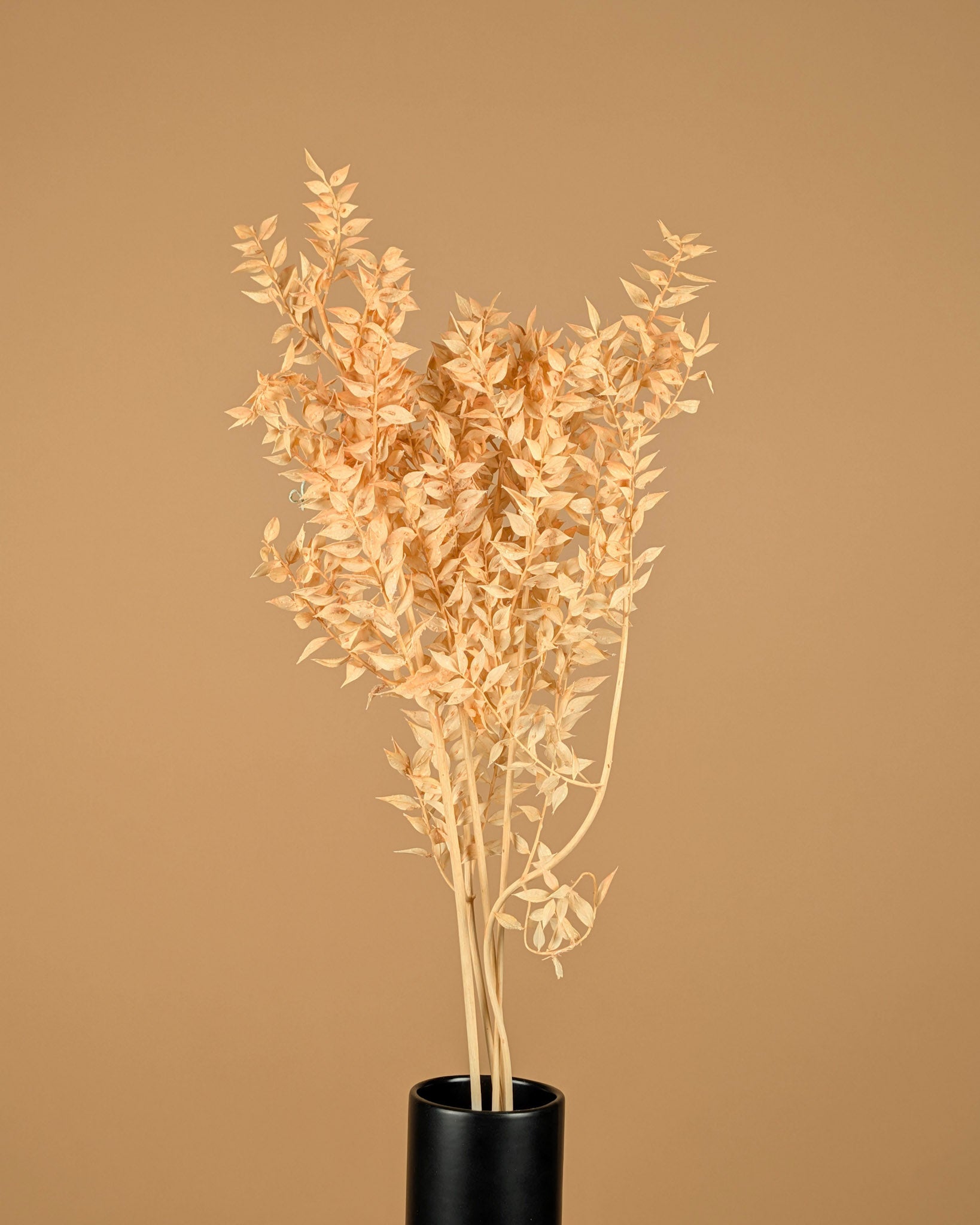 Gepreserveerd ruscus – zalm roze