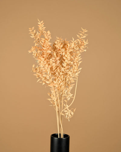 Gepreserveerd ruscus – zalm roze