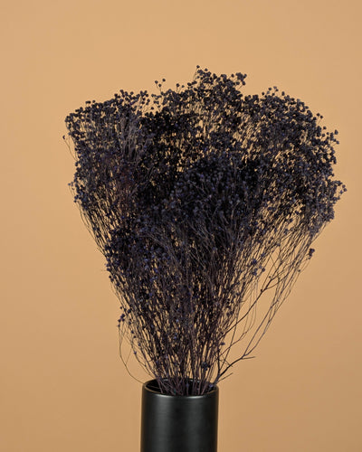 Dried Broom Bloom Purple