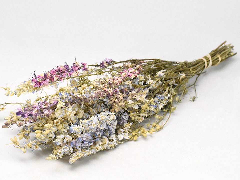 Delphinium pastel mix 65cm