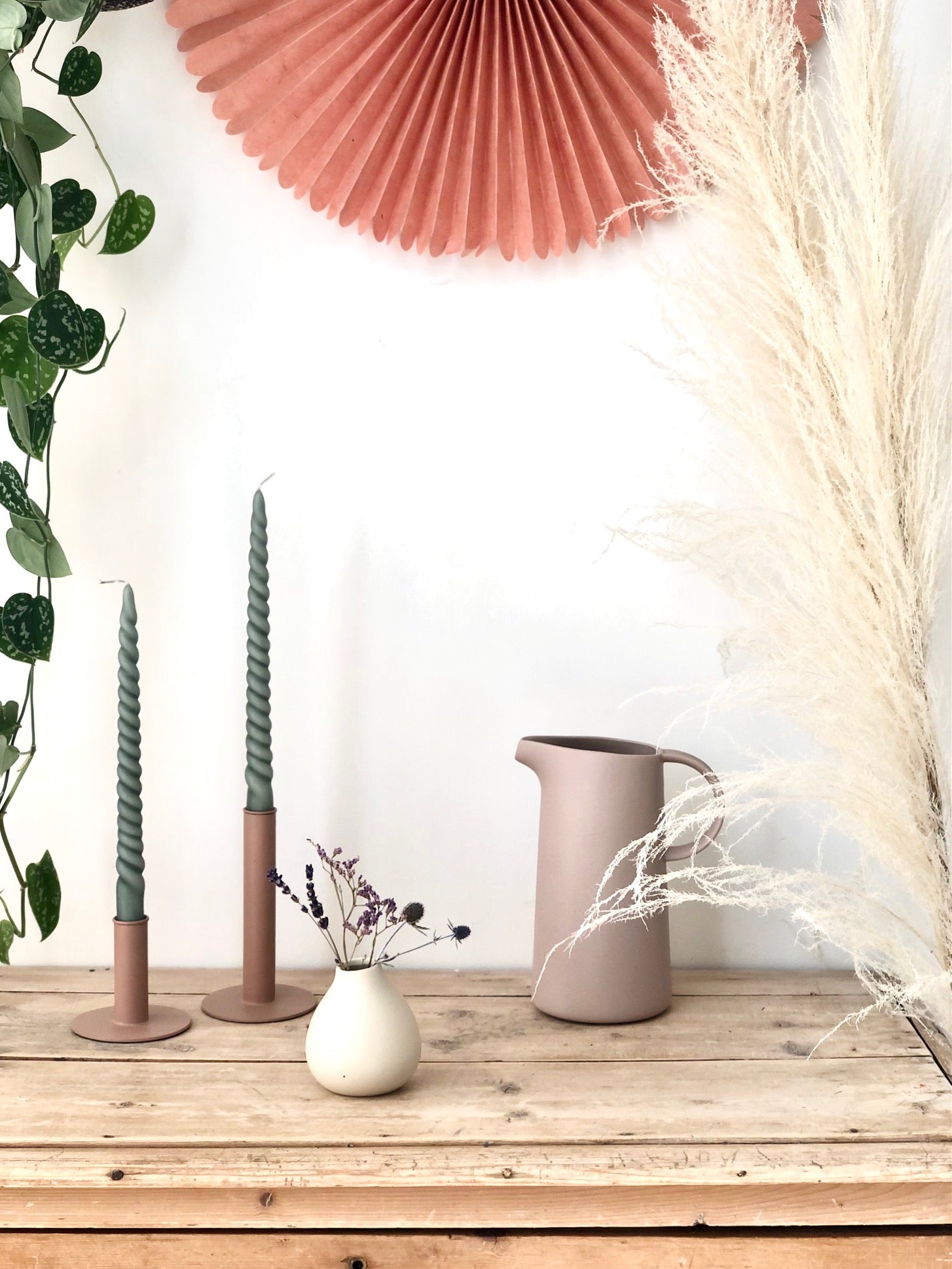 Pampasgras Pluim XXL bleached