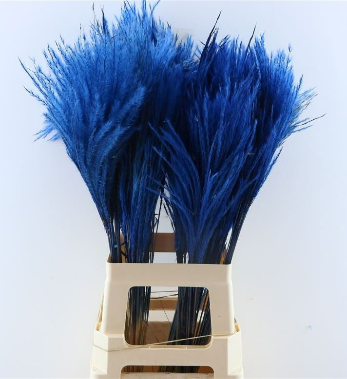 Fluffy Reed gras pluimen donker blauw