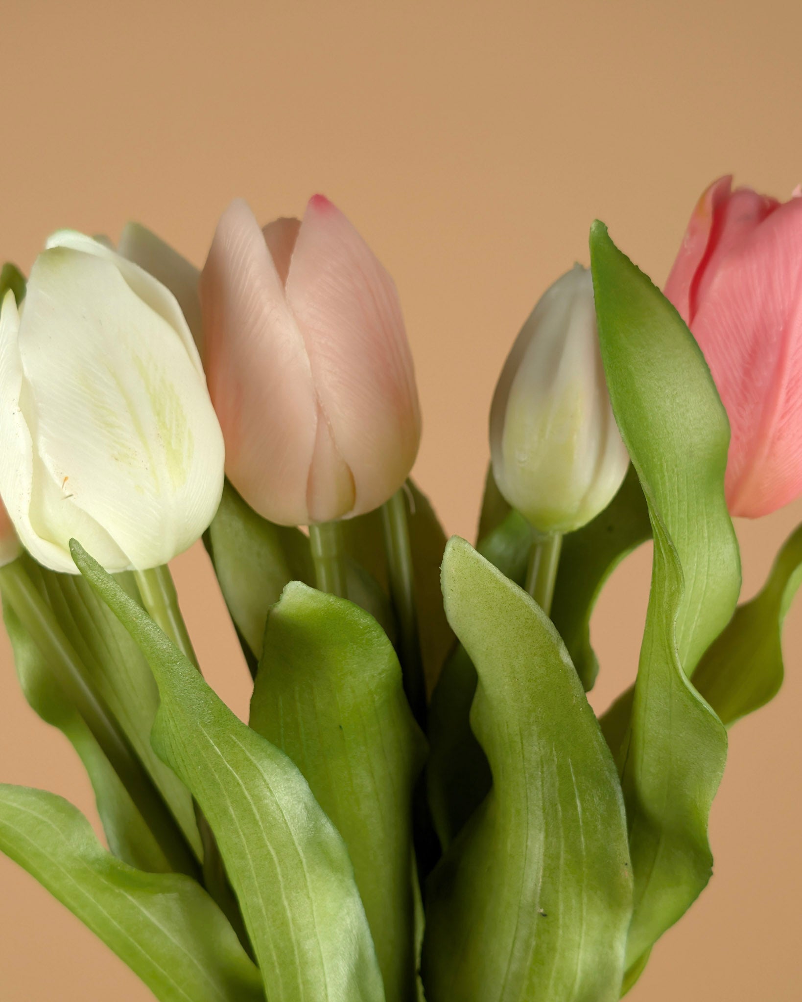 Lathyrus en soie – Crème (75 cm)