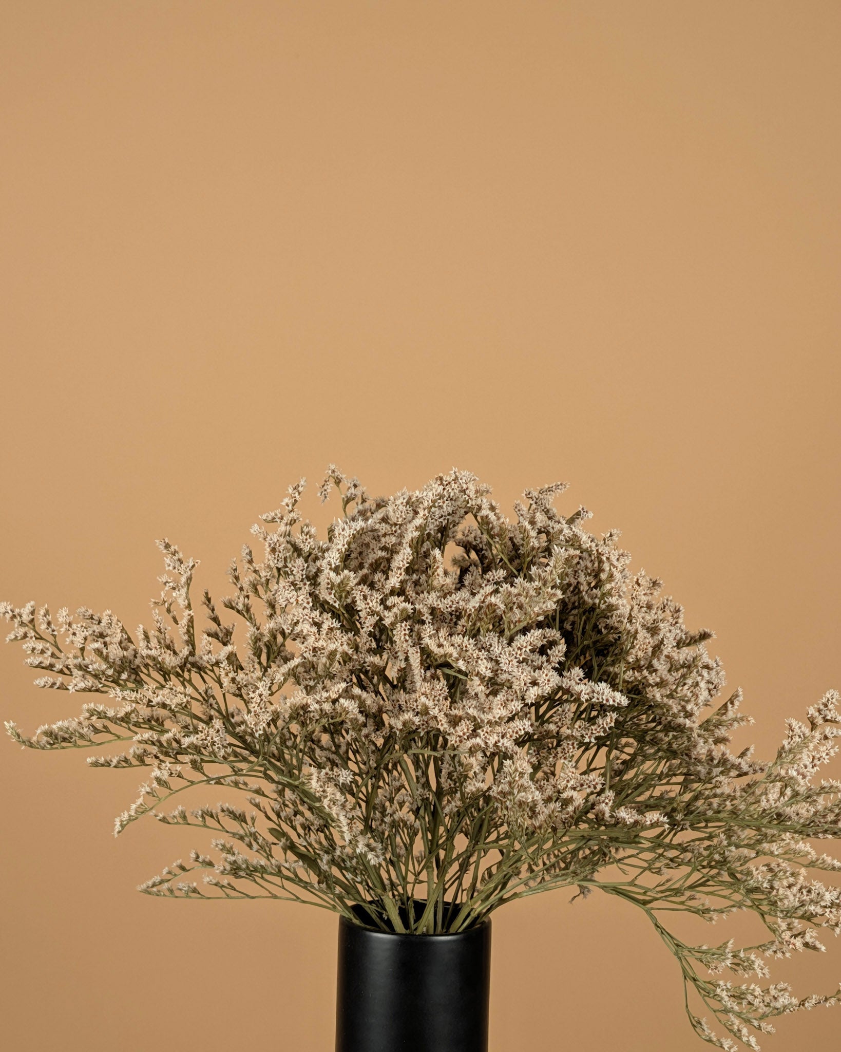 Dried Statice Tatarica White