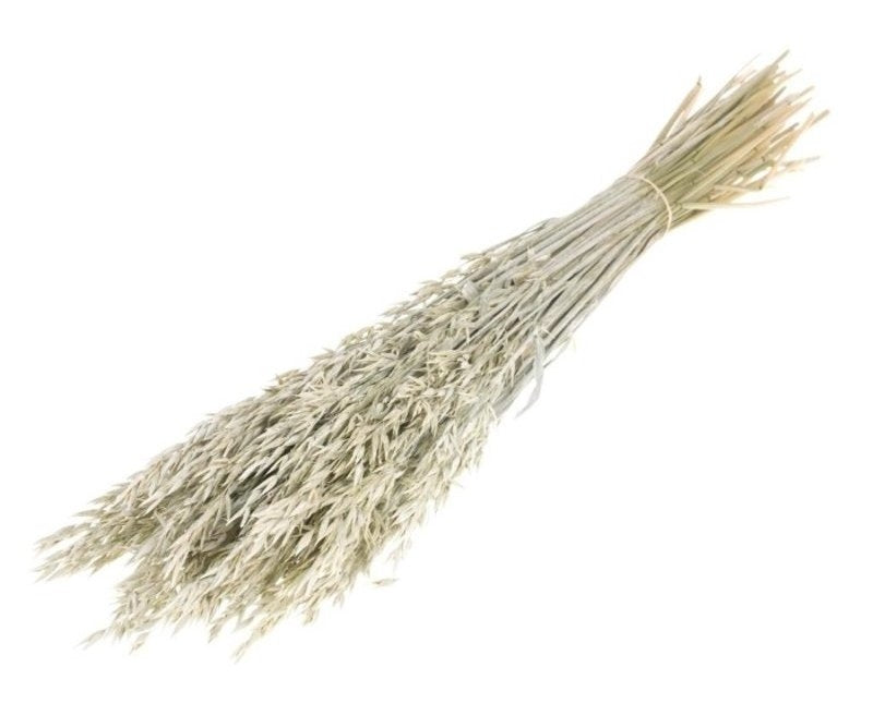 Gedroogde haver (avena) – white wash