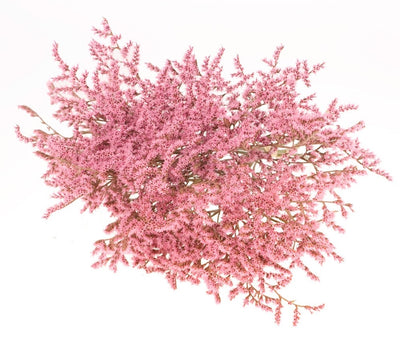 Dried Statice Tatarica Pink