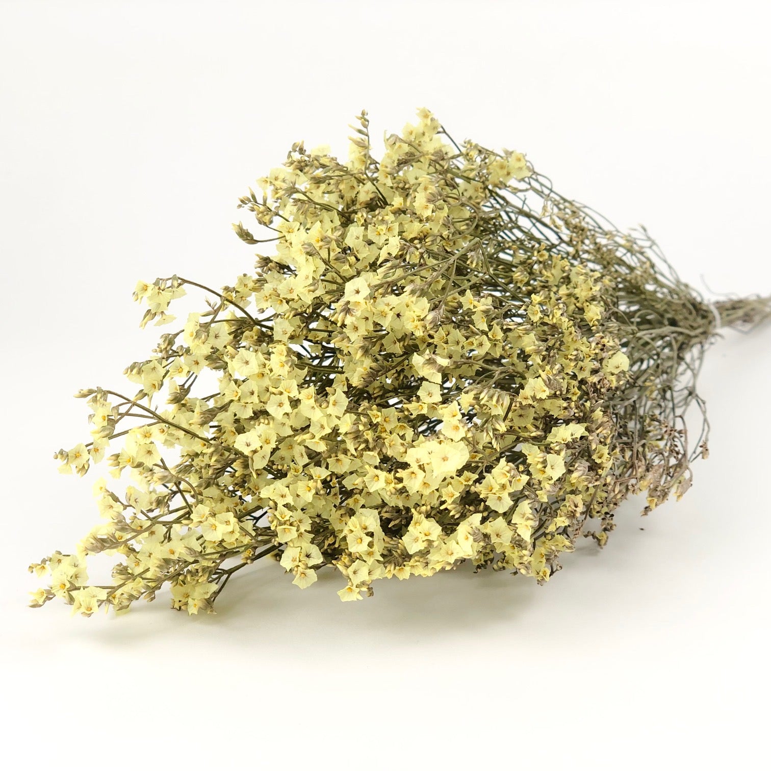 Dried Limonium Diamond Yellow