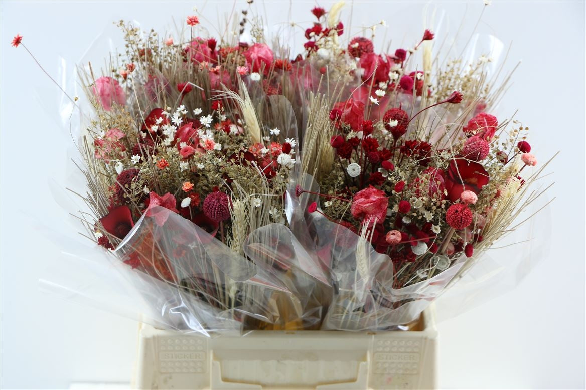 Dried bouquet fanasia red