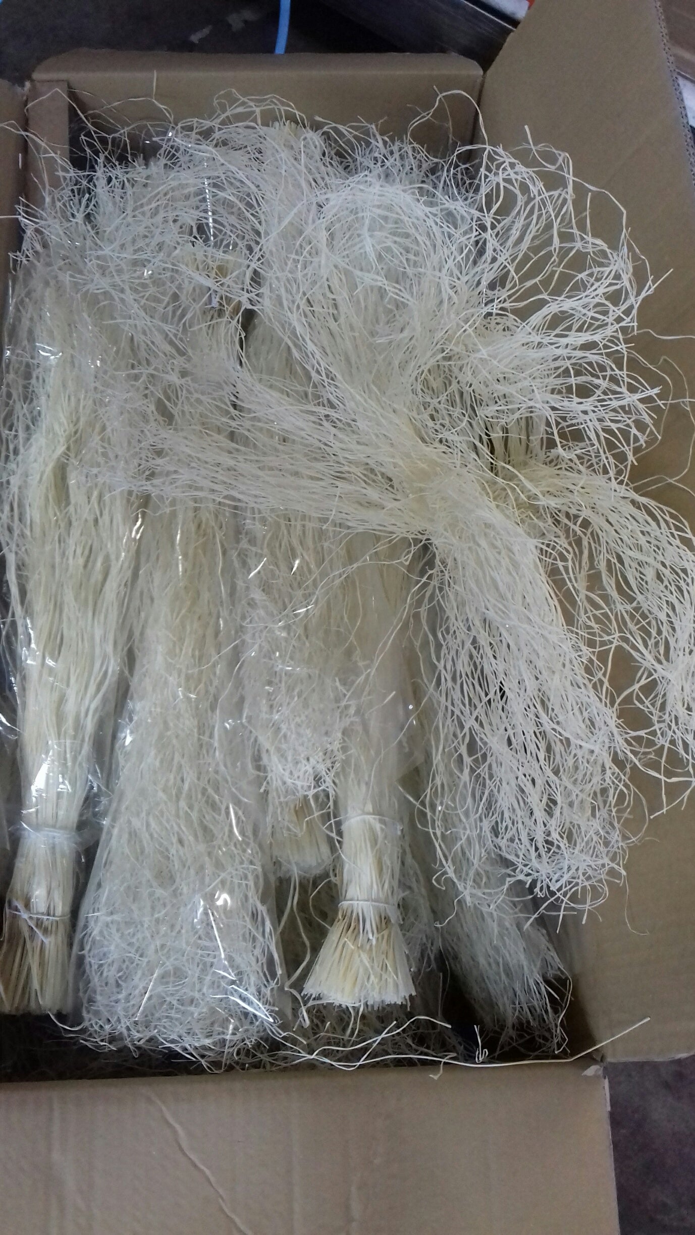 L'herbe folle blanchie