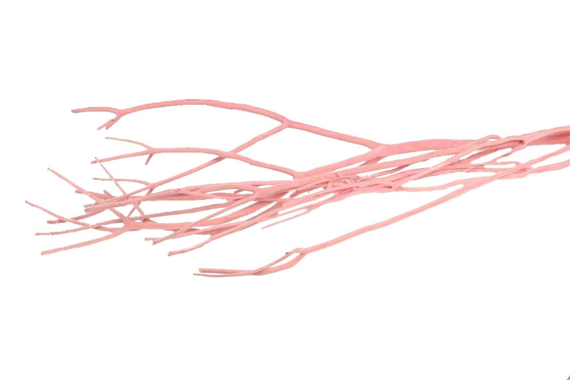 Mitsumata branches flock light pink per 3 branches