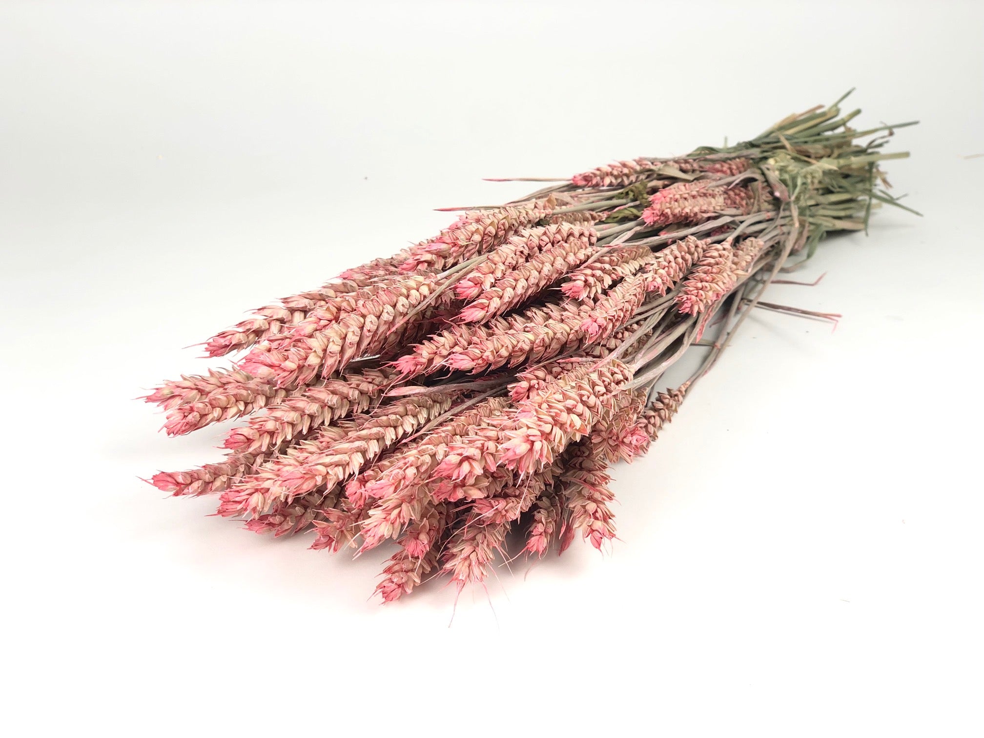 Dried wheat frosted light pink