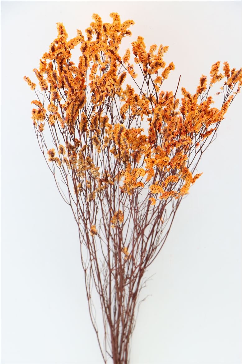 Gedroogde Limonium Diamond oranje