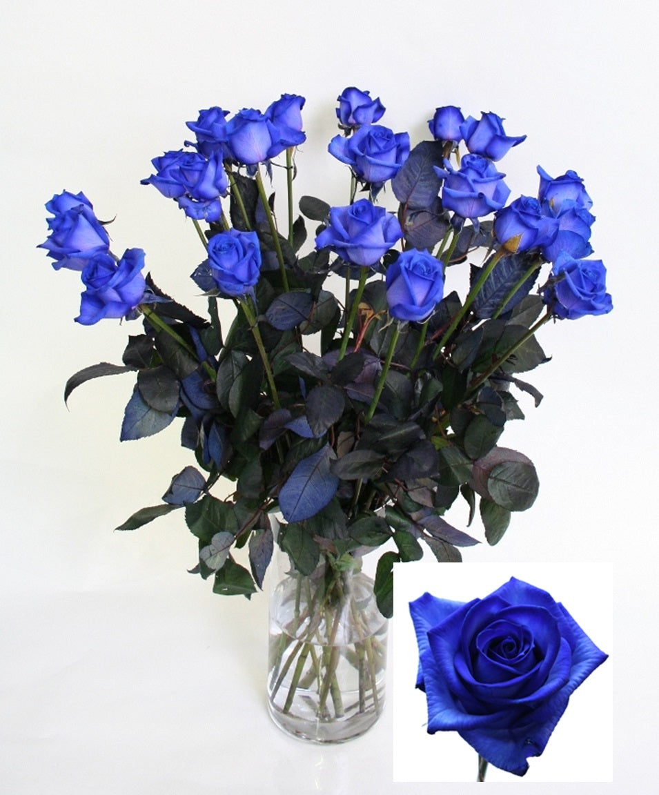 Blue roses bouquet of long medium large -flowered roses