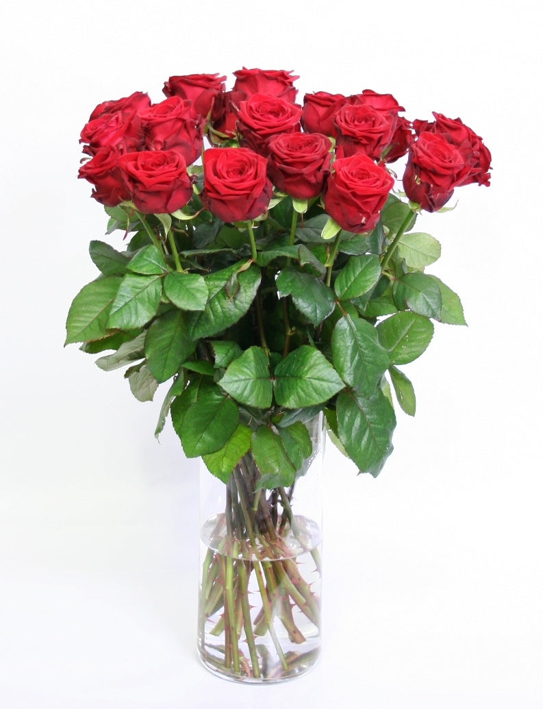 Roses Bouquet Rouge de 10 longues roses rouges à fleurs