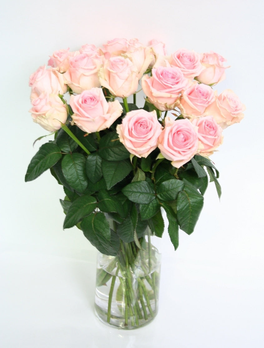 Roses bouquet of 10 long large -flowered soft pink roses