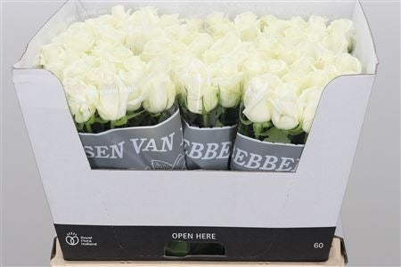 Rozen boeket van 10 lange middel grootbloemige witte Rozen