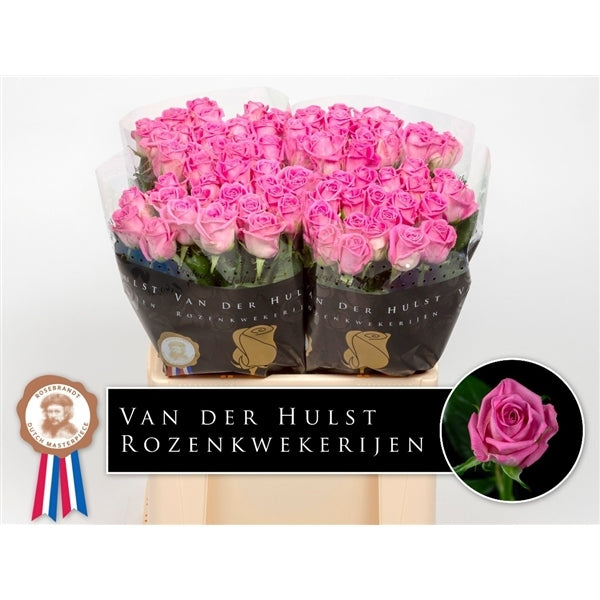 Rozen boeket van 10 lange middel grootbloemige roze Rozen