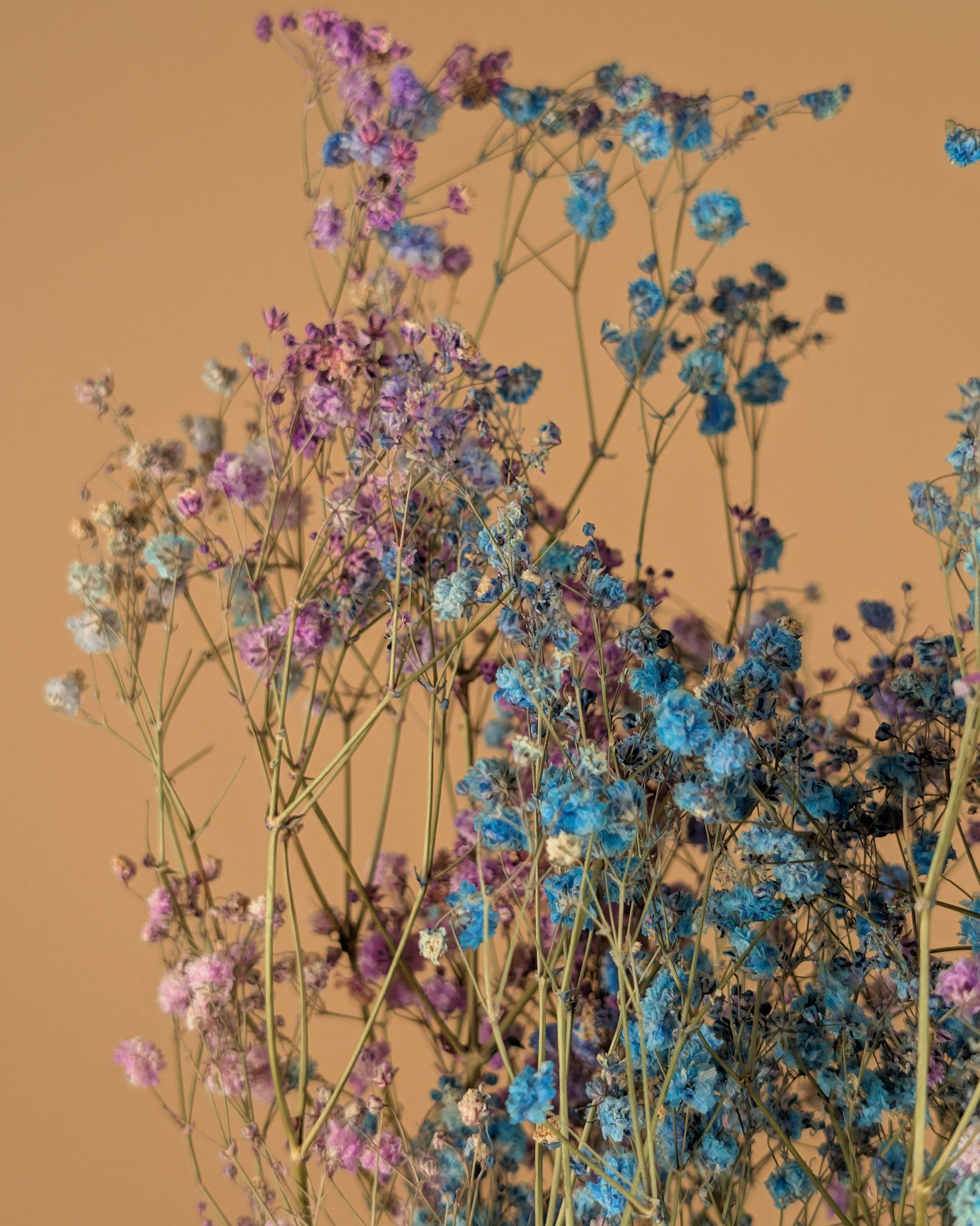 GIPSPRAID Disco Mix Purple & Blue dried