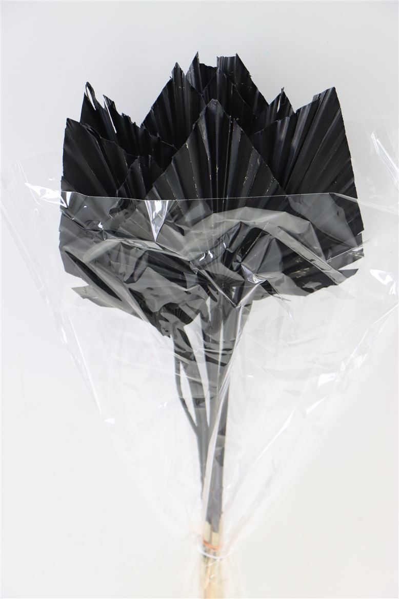 Dried Palm Spear Black