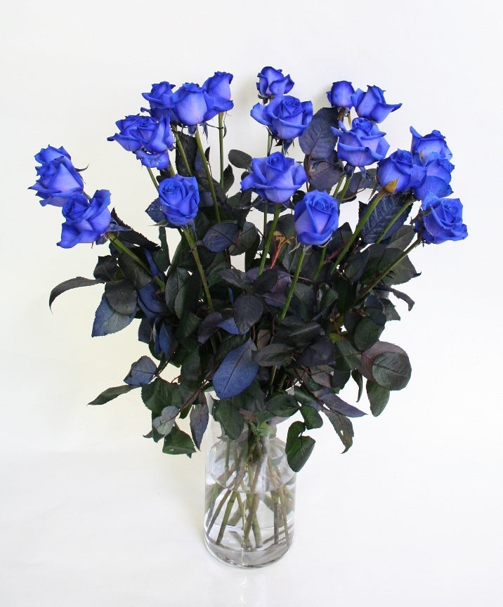 Rozen boeket van 10 lange blauwe Rozen