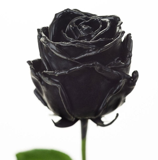 Wax roses bouquet black