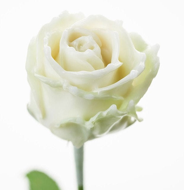 Bouquet de roses de cire blanc