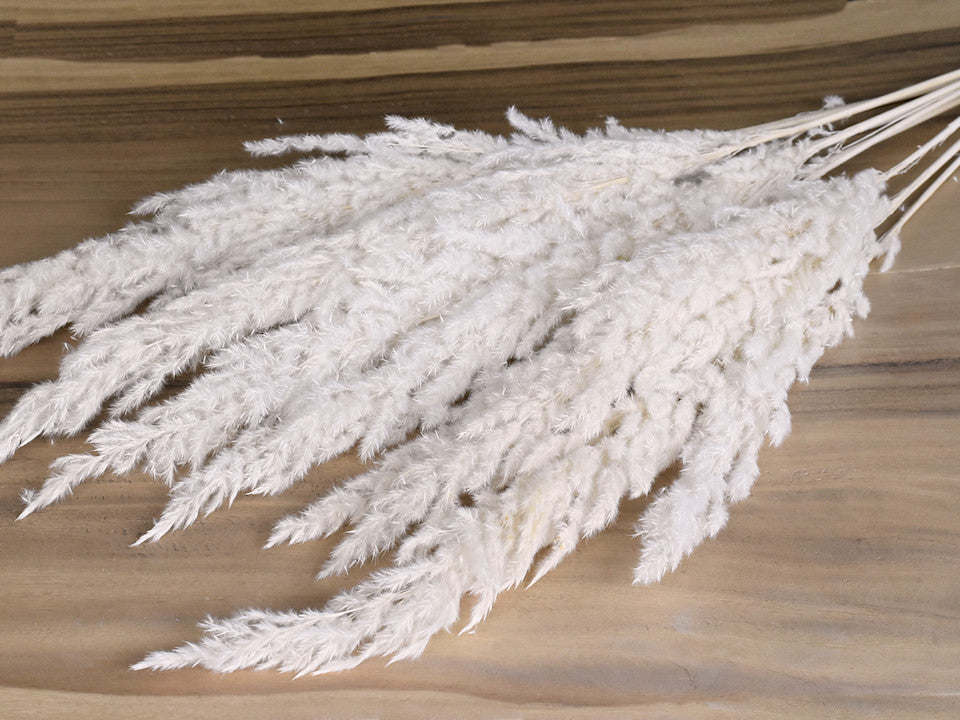 Erianhus blexierte 10pcs 110 cm