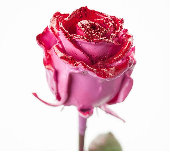 Bouquet de rose de cire rose avec un rougissement rouge et des paillettes rouges