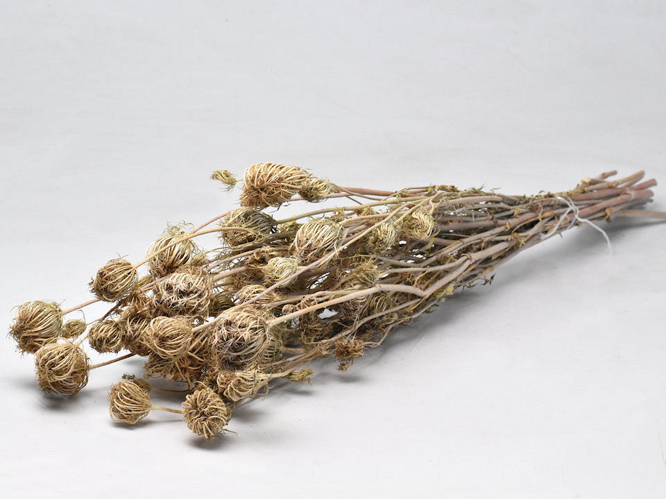 Fennel Natural 150gr.