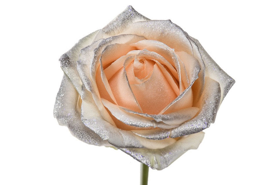 Bouquet de roses de pêche Lange avec des blos d'argent