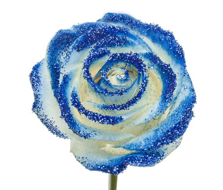 Boeket van lange witte Rozen met blauwe glitters