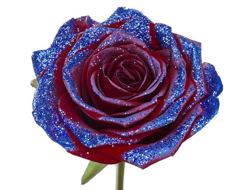Bouquet de longues roses rouges avec des paillettes bleues