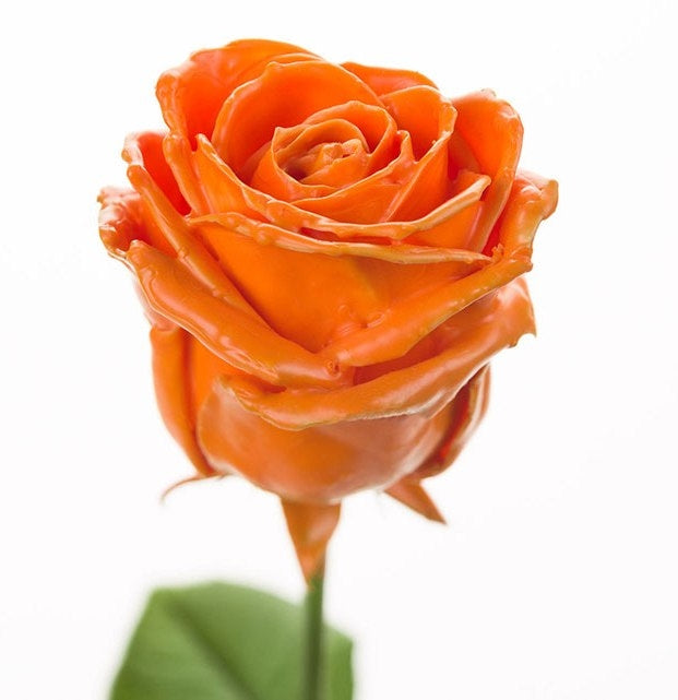 Bouquet de roses de cire orange