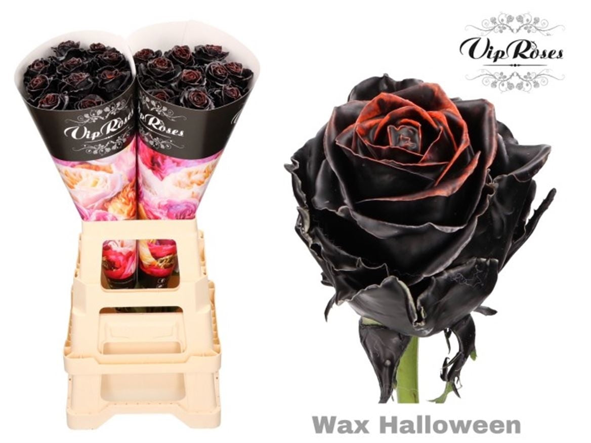 Wax Rozen boeket Halloween