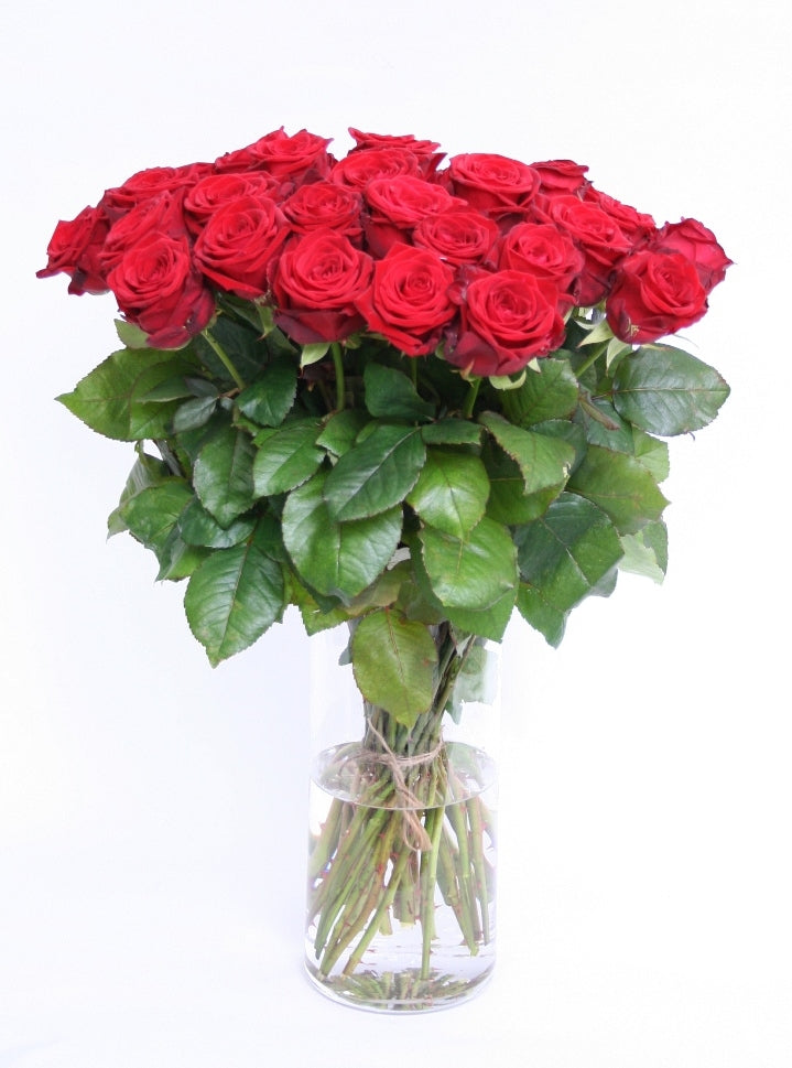 Roses bouquet red of 30 red -wholesal roses