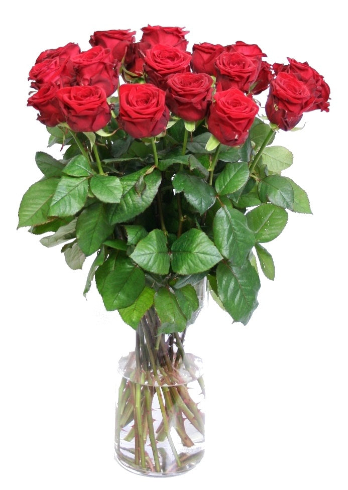 Roses bouquet red from medium long large -flowered red roses