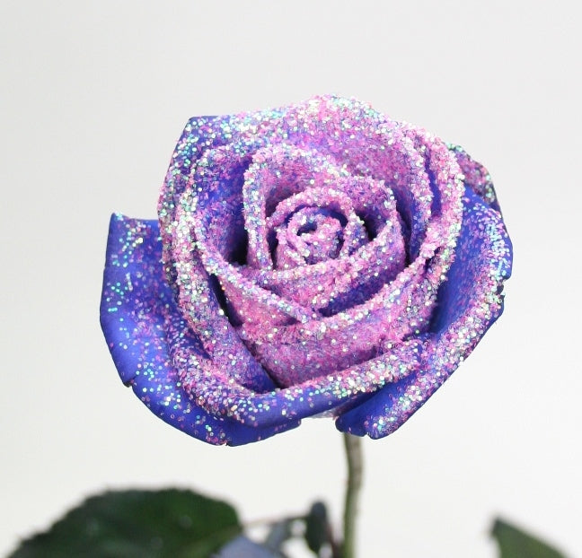 Rose bouquet of blue roses with pink glitter