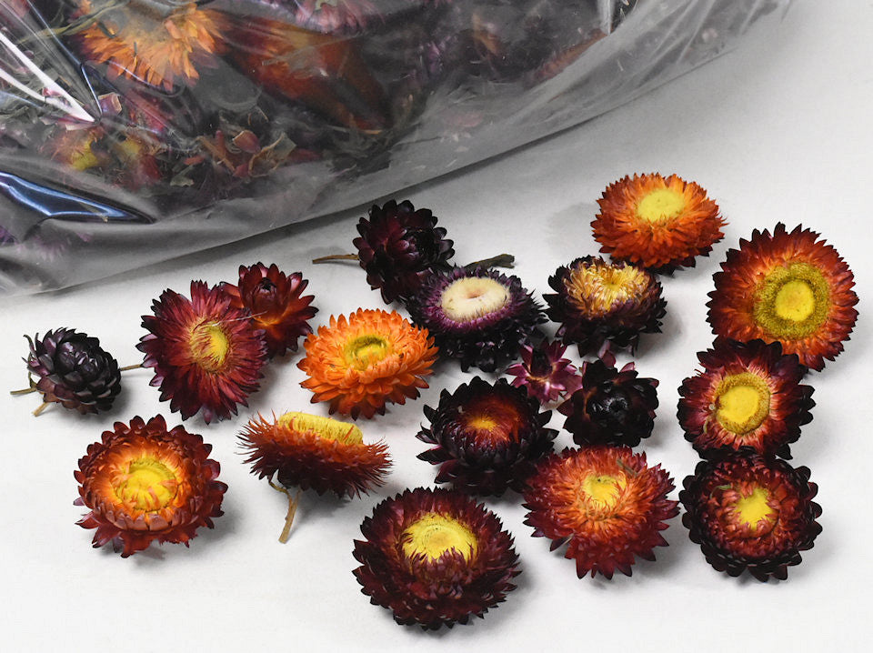 Helichrysum têtes rouge 250gr.