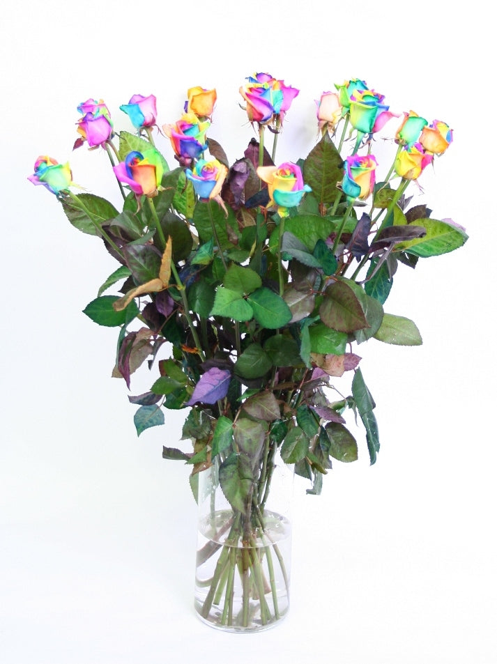 Roses bouquet of 10 long large -flowered rainbow roses