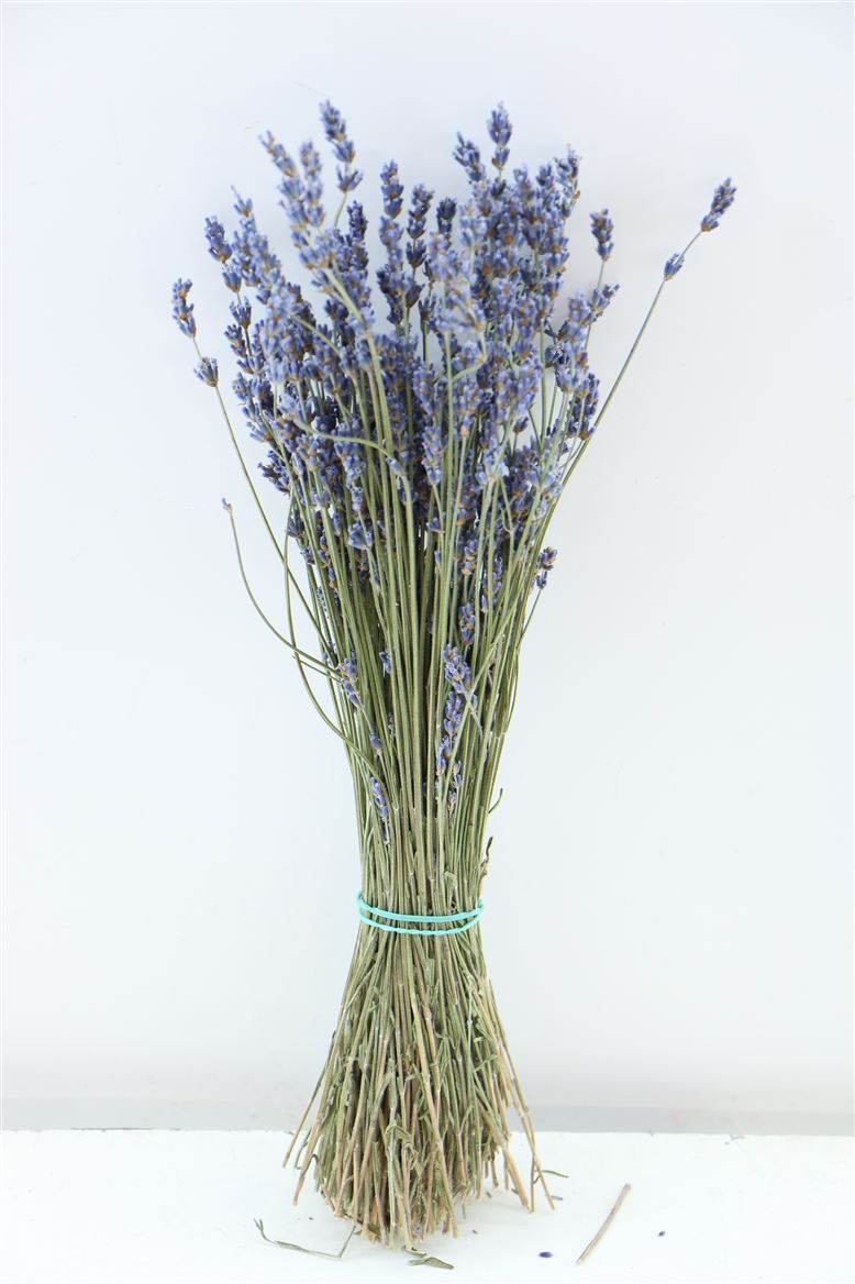 Gedroogde Lavendel naturel donker blauw