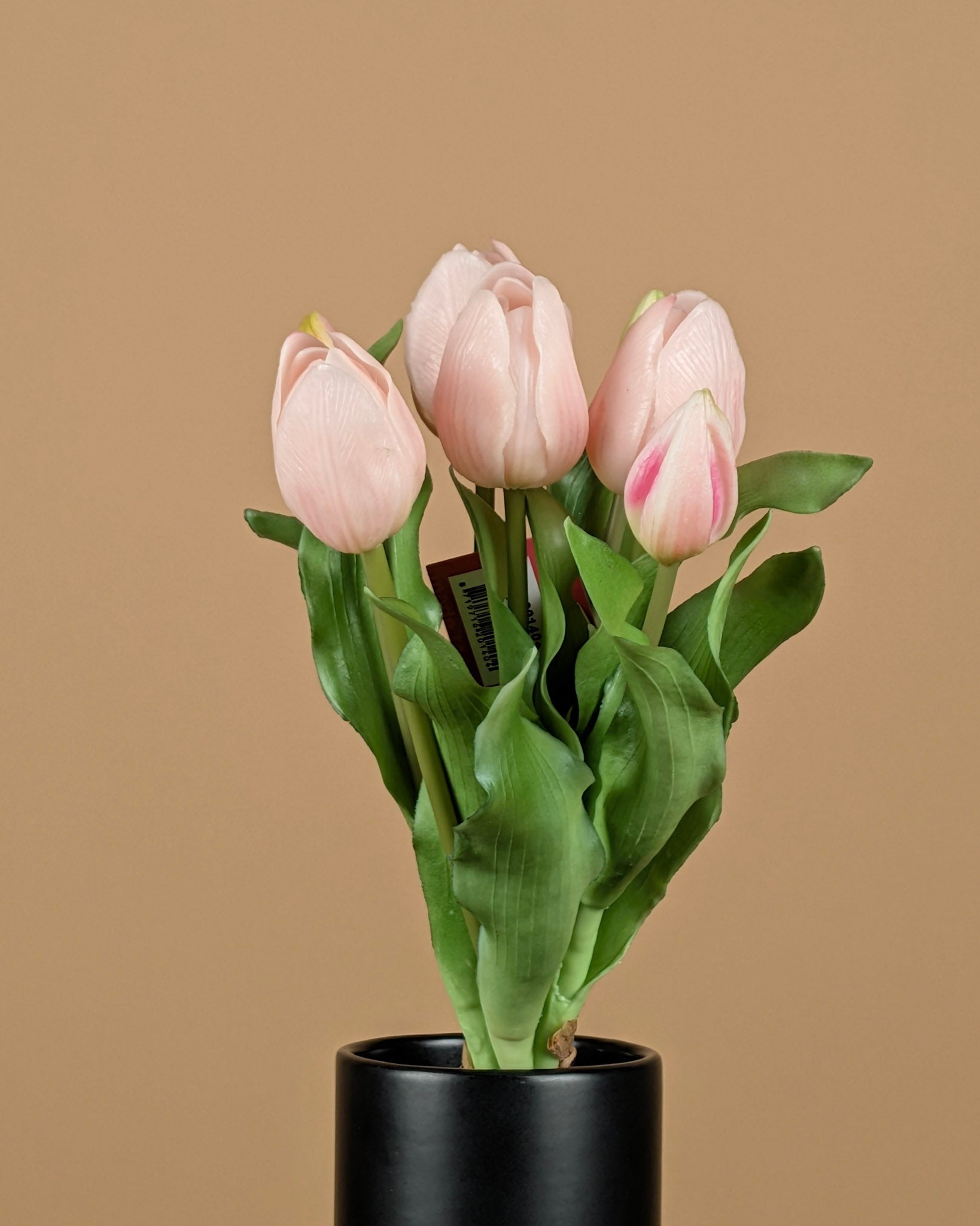 Lathyrus en soie – Crème (75 cm)